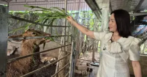 Nữ giáo viên kiếm nửa tỷ đồng mỗi năm từ "nghề tay trái"