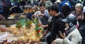 Chuyện về chú gà trống ngậm hoa hồng nhung
