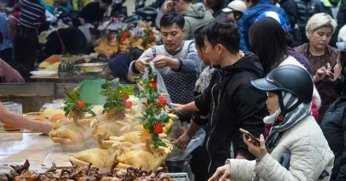 Chuyện về chú gà trống ngậm hoa hồng nhung