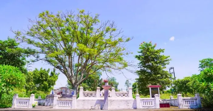 Nghĩa Quận công Tống Tất Thắng hiện lên như một biểu tượng rực rỡ, một ngọn lửa hiếu học đã hun đúc nên truyền thống khoa bảng cho làng Trung Cần và cả vùng đất xứ Nghệ.