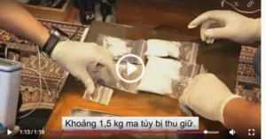 Tội phạm ma túy