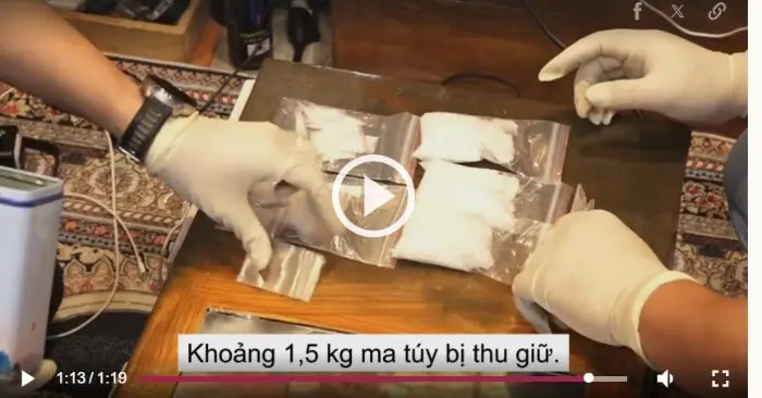 Tội phạm ma túy