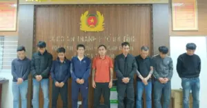 Pha - soi - bac - tai - Ha Tinh