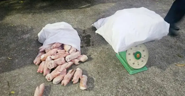 Chân lợn bẩn