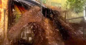 Mật mía Nghệ An