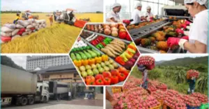 Xuất khẩu nông sản
