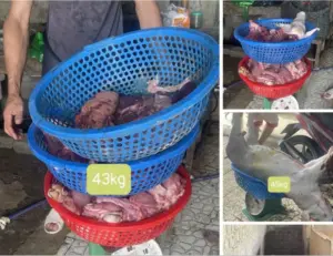 Khởi tố 3 đối tượng giết mổ lợn mắc dịch tả lợn châu Phi để bán ra thị trường, gây lo ngại về an toàn thực phẩm.
