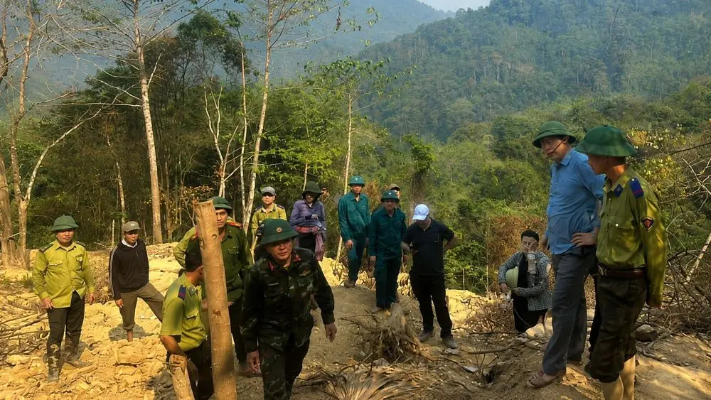 Sau tin đồn có vàng sa khoáng, lực lượng chức năng kiểm tra hiện trường đào bới trái phép trong rừng. Xem diễn biến vụ việc.