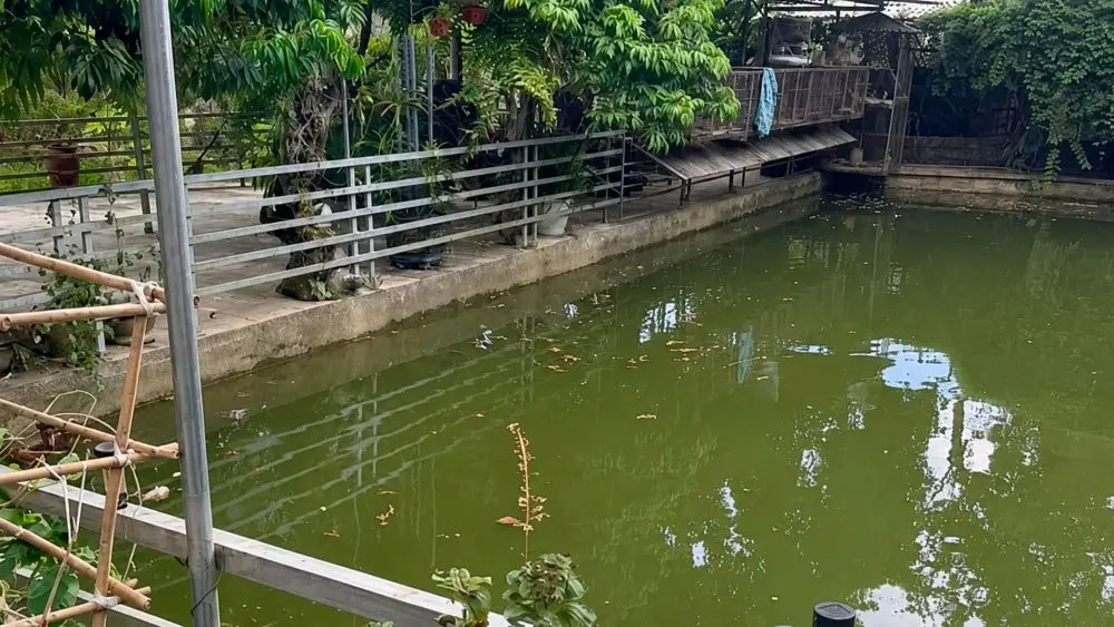 Hai chị em ruột đuối nước dưới ao cạnh nhà ở xã Quỳ Hợp, vụ việc đau lòng gióng lên cảnh báo về nguy cơ tai nạn đuối nước trẻ em.