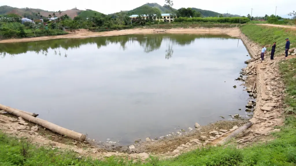 Cá chết bất thường tại đập thủy lợi Ba Tru khiến người dân lo ngại. Cơ quan chức năng đã lấy mẫu nước để xác định nguyên nhân.