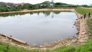 Cá chết bất thường tại đập thủy lợi Ba Tru khiến người dân lo ngại. Cơ quan chức năng đã lấy mẫu nước để xác định nguyên nhân.