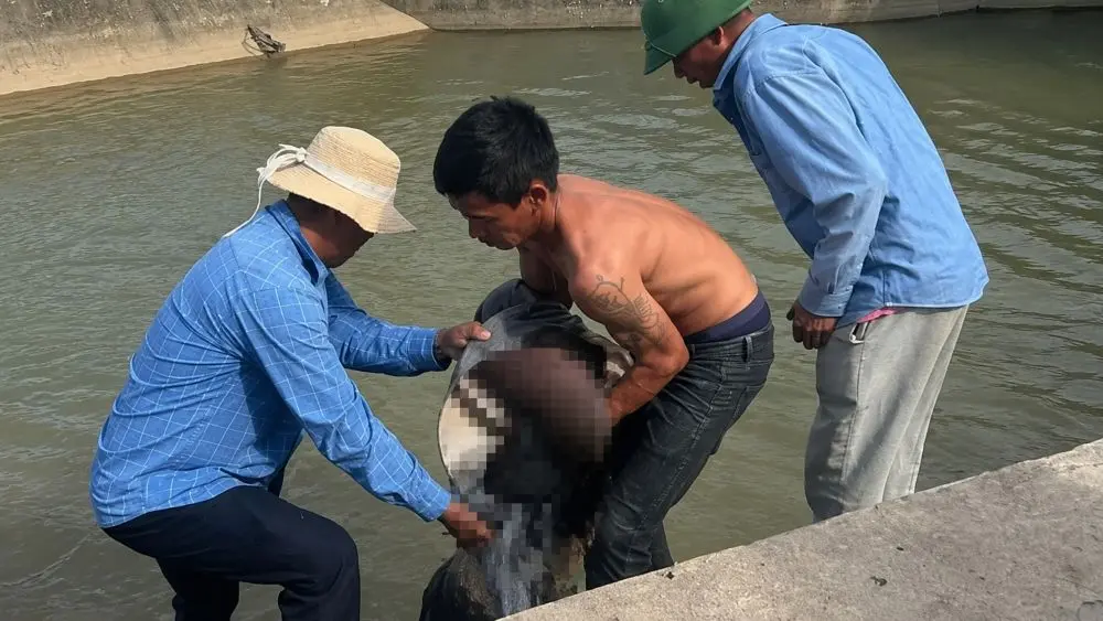 Nam thiếu niên 16 tuổi tử vong khi câu cá tại kênh Nông Giang. Diễn biến vụ việc khiến nhiều người xót xa
