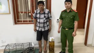 Ngâm rượu tay gấu trái phép, người đàn ông bị khởi tố. Vụ án cảnh báo hành vi tàng trữ sản phẩm từ động vật hoang dã.