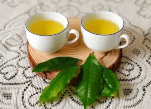 Uống trà xanh mỗi ngày ảnh hưởng thế nào đến thận? Tìm hiểu lợi ích, rủi ro và cách sử dụng trà xanh hợp lý cho sức khỏe.