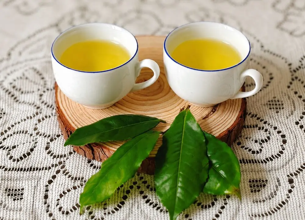 Uống trà xanh mỗi ngày ảnh hưởng thế nào đến thận? Tìm hiểu lợi ích, rủi ro và cách sử dụng trà xanh hợp lý cho sức khỏe.