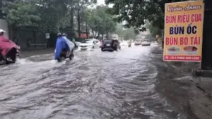 Nghệ An đẩy nhanh giải ngân dự án hạ tầng ưu tiên, tăng năng lực chống ngập và phát triển đô thị thích ứng biến đổi khí hậu.