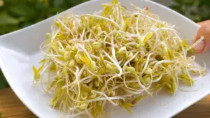 Ăn giá đỗ vào bữa sáng giúp bổ sung dinh dưỡng, hỗ trợ tiêu hóa và tăng cường sức khỏe. Khám phá 5 lợi ích nổi bật của thực phẩm này.
