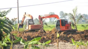 Nghệ An chỉ đạo kiểm tra, làm rõ vụ san lấp đất nông nghiệp trái phép tại xã Quảng Châu, yêu cầu báo cáo kết quả xử lý.