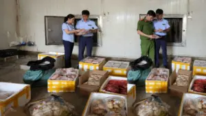 Phát hiện hơn 1.000 sản phẩm thực phẩm không rõ nguồn gốc tại Thanh Hóa, lực lượng chức năng tạm giữ để xác minh, xử lý.