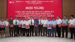 Nghệ An nâng phụ cấp cán bộ không chuyên trách ở thôn, mức cao nhất hơn 7,8 triệu đồng/tháng theo nghị quyết mới. Xem chi tiết.