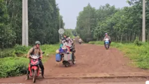 Xuyên đêm săn nấm mối ở Đồng Nai, hàng trăm người đổ về rừng chờ mùa nấm, tạo nên khung cảnh nhộn nhịp hiếm gặp