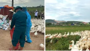 Dựa trên nội dung bài viết và chú thích ảnh gốc (không sao chép nguyên văn), đây là 4 thành phần phù hợp: