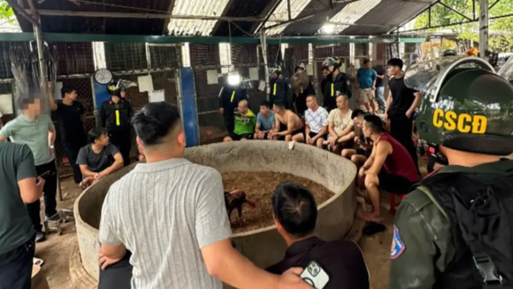 Cảnh sát Lạng Sơn bắt tạm giam Nguyễn Tùng Lâm và 20 người trong vụ đánh bạc bằng hình thức đá gà, làm rõ số tiền hơn 650 triệu đồng.