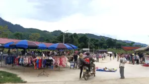 Phiên chợ cây nhà lá vườn ở vùng cao Thanh Hóa tạo sinh kế bền vững, giúp người dân tiêu thụ nông sản và phát triển kinh tế địa phương.