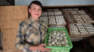 Vợ chồng nông dân bền bỉ hơn 20 năm gây dựng nghề ấp trứng vịt lộn, vươn lên thành triệu phú trên vùng đất khó. Đọc câu chuyện đầy cảm hứng.