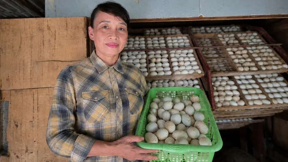 Vợ chồng nông dân bền bỉ hơn 20 năm gây dựng nghề ấp trứng vịt lộn, vươn lên thành triệu phú trên vùng đất khó. Đọc câu chuyện đầy cảm hứng.