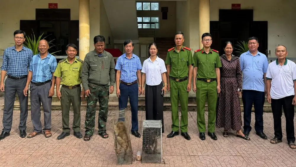 Người dân giao nộp 2 cá thể khỉ quý hiếm cho cơ quan chức năng để chăm sóc, tái thả về tự nhiên, góp phần bảo tồn động vật hoang dã.