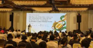 Giá sầu riêng giảm mạnh dù nhiều doanh nghiệp Trung Quốc tìm nguồn hàng tại Việt Nam. Tìm hiểu nguyên nhân và diễn biến thị trường.