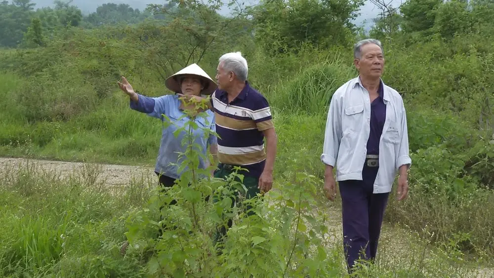 Những cánh đồng hai vụ mắc kẹt bên cao tốc Bắc - Nam không thể dẫn nước sản xuất, nhiều hộ dân phải bỏ ruộng.