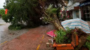 Bão Maysak gây gió mạnh tại Quảng Ninh, quật đổ nhiều cây xanh và gây thiệt hại. Cập nhật diễn biến mới nhất.