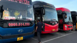 Giá xăng dầu giảm giúp nhiều tuyến xe khách hạ giá vé, trong khi cước vận chuyển hàng hóa vẫn ở mức cao. Xem chi tiết.