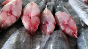 4 loại cá chứa nhiều thủy ngân nhất có thể ảnh hưởng sức khỏe nếu ăn thường xuyên. Xem danh sách và lưu ý khi lựa chọn hải sản.