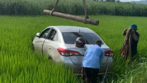 Nam tài xế 57 tuổi tử vong sau khi ô tô mất lái, lao xuống ruộng lúa ở Nghệ An. Cơ quan chức năng đang điều tra nguyên nhân.