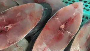 5 loại cá giá rẻ giàu dinh dưỡng, bổ ngang cá hồi, dễ mua ở chợ Việt, giúp bạn chọn thực phẩm ngon, tiết kiệm cho bữa ăn.