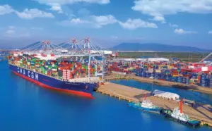 Xuất khẩu nghêu Việt Nam tăng 17% trong 7 tháng, riêng thị trường Mỹ tăng 62%, vươn lên vị trí thứ ba với nhiều dư địa tăng trưởng.