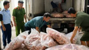 Hơn 1,3 tấn chân, lòng mề gà không rõ nguồn gốc tại Bắc Ninh bị buộc tiêu hủy, người kinh doanh bị phạt 24,5 triệu đồng.