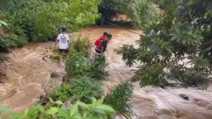 Cứu hai em nhỏ mắc kẹt giữa suối khi lũ bất ngờ tràn về, hành động dũng cảm giúp các em vào bờ an toàn khiến nhiều người xúc động.