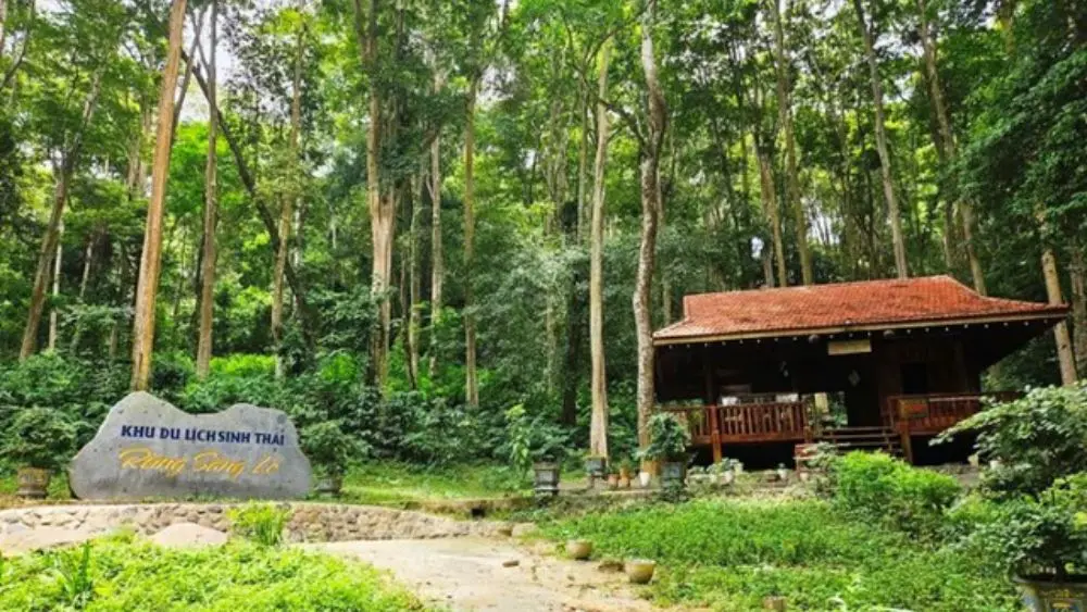 Rừng săng lẻ cổ thụ xanh mát bên Quốc lộ 7A giữa Tương Dương - nơi giữ kỷ lục nóng nhất Việt Nam 44,2 độ C.