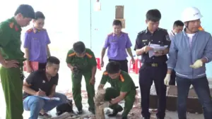 Gia Lai phát hiện gần 1,2 tấn ngà voi, 80kg xương động vật giấu tinh vi trong container gỗ nhập từ Congo, khởi tố vụ án.