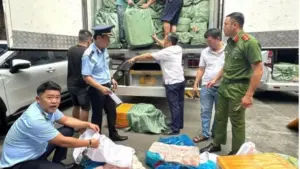 Lực lượng liên ngành Đồng Nai phát hiện xe tải chở gần 17 tấn thực phẩm đông lạnh không rõ nguồn gốc, kịp thời ngăn chặn trước khi tiêu thụ.