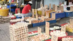 Giá trứng gà tăng trở lại nhờ nhu cầu sản xuất bánh Trung thu và nguồn cung dần cân bằng, giúp người chăn nuôi giảm áp lực thua lỗ.