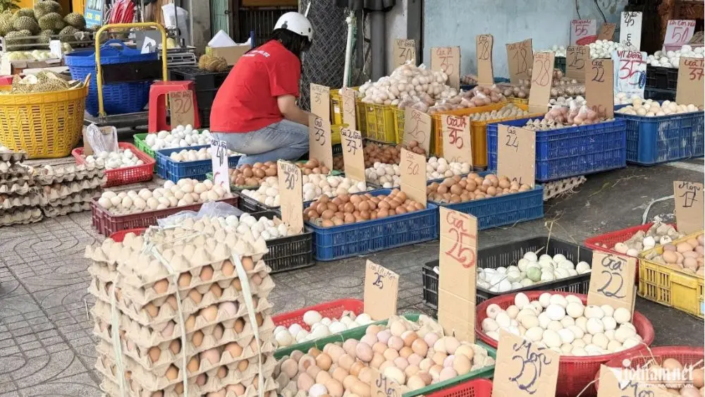 Giá trứng gà tăng trở lại nhờ nhu cầu sản xuất bánh Trung thu và nguồn cung dần cân bằng, giúp người chăn nuôi giảm áp lực thua lỗ.