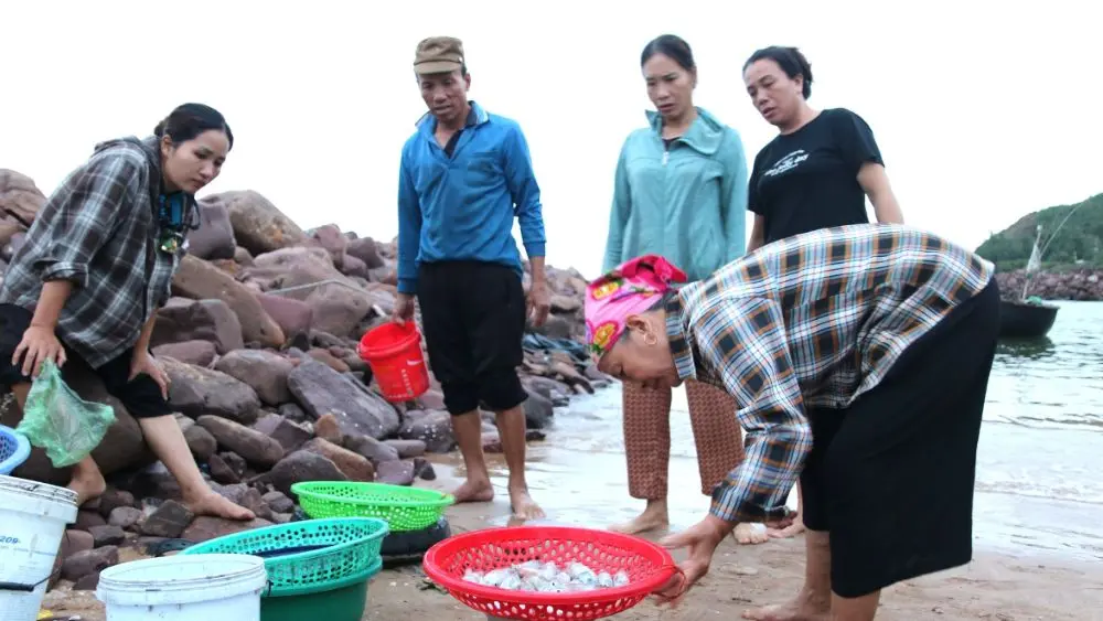 Nghề câu mực thuyền thúng ở xứ Nghệ giúp ngư dân có thể thu về tiền triệu mỗi đêm giữa mùa mực rộ.