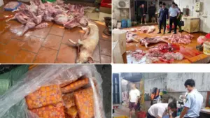 Thực phẩm “bẩn” vẫn len lỏi trên thị trường, đặt ra yêu cầu kiểm soát chặt nguồn gốc, vận chuyển và tiêu thụ để bảo vệ người dùng.