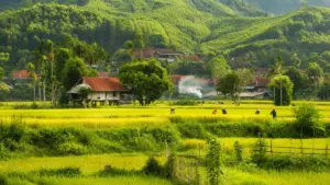 Nghệ An đánh thức “kho báu” bản địa, phát triển du lịch cộng đồng, sinh thái và văn hóa, hút khách dịp nghỉ lễ 2/9.