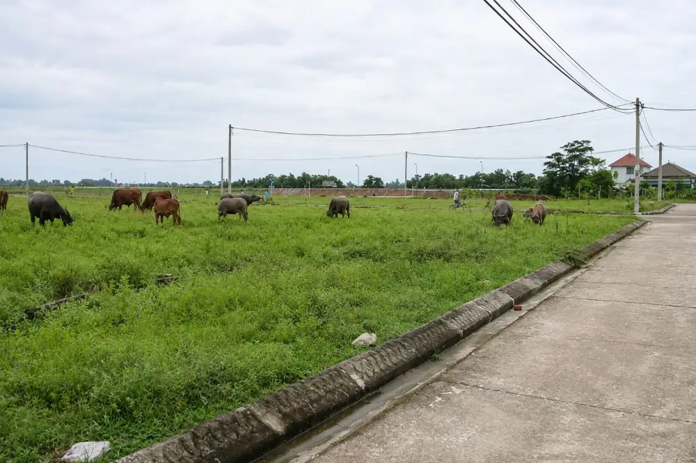 Khu tái định cư Hòa Lam đang được hoàn thiện để đón 34 hộ dân vùng lũ sau hơn một thập kỷ chờ đợi. Xem chi tiết.